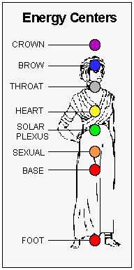 Where is the solar plexus located?